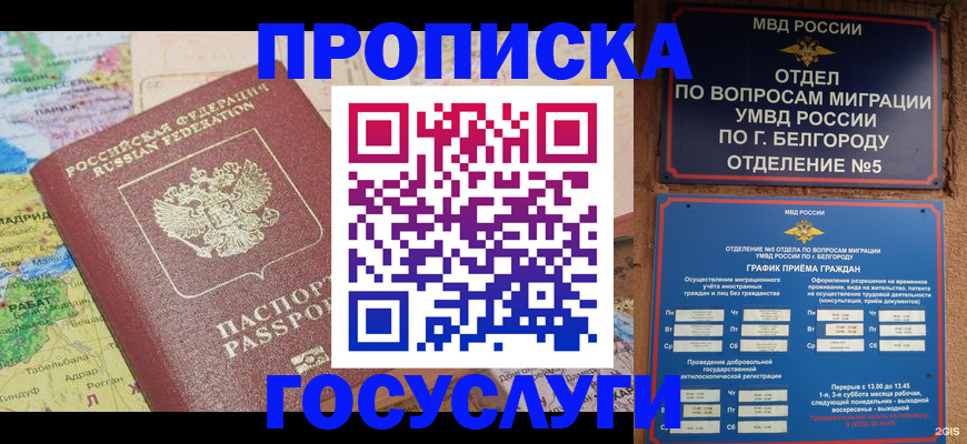 прописка регистрация в Мытищах